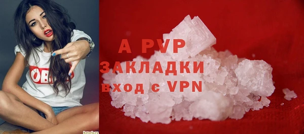 амф Аркадак