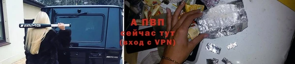 амф Аркадак