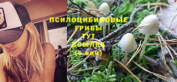 apvp Арсеньев