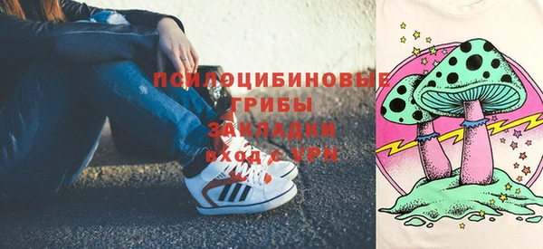 амф Аркадак
