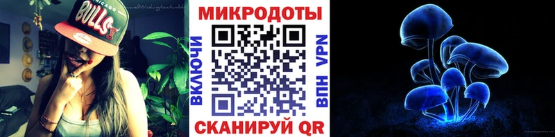 Галлюциногенные грибы Psilocybe  МЕГА ССЫЛКА  Олонец 